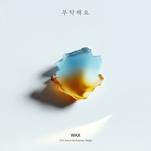 부탁해요 (RE:WAX)