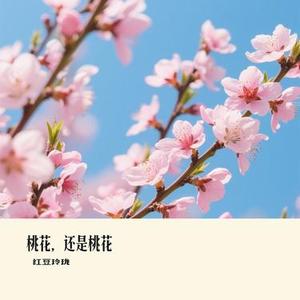 桃花，还是桃花
