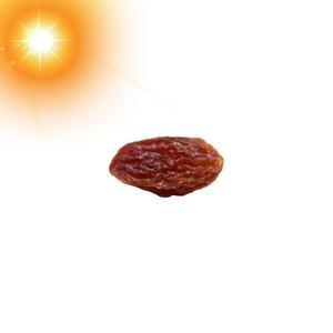 RAISIN IN THE SON