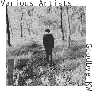 Kosmotautenregen (Jens Guetschow Remix)