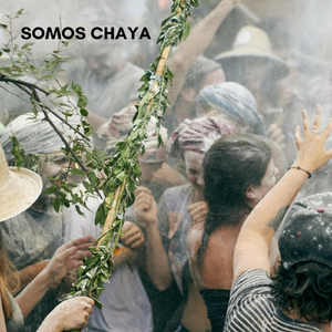 Somos Chaya