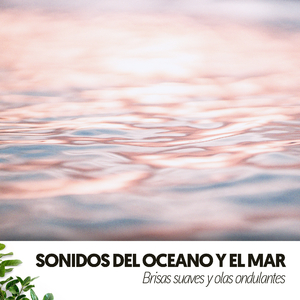 Serenidad junto al mar