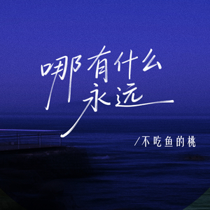 哪有什么永远(伴奏)