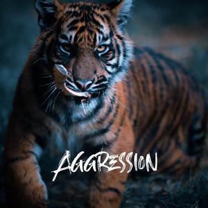 Aggression