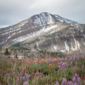 Waiting for Your Return