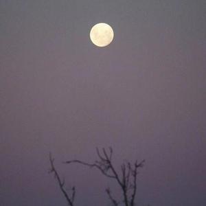 理想三旬-吉他弹唱