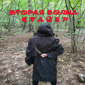 Вторая волна