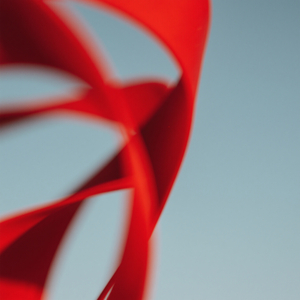 Sagwani Assassin's Hesitation