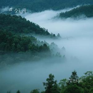 云深忘归处