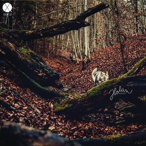 Holan (Leo Popper's Dance Mix by Kubatko)