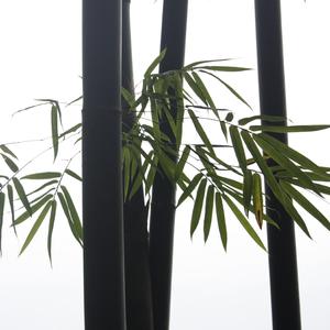 一张A4纸（Demo）