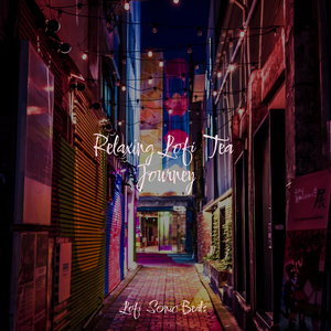 Mystery Melodies in the Night