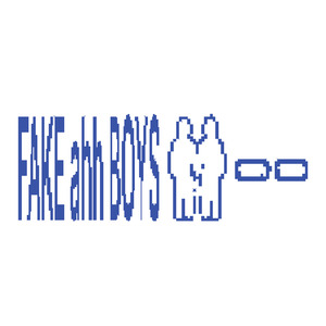 FAKE ahh BOYS