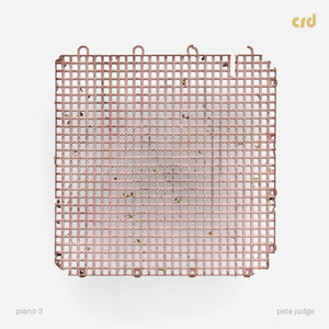 Twig, Leaf, Flint, Thorn