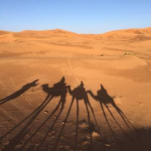 当你老了（原唱：赵照）