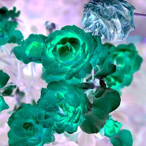 Relinquished (Instrumental)
