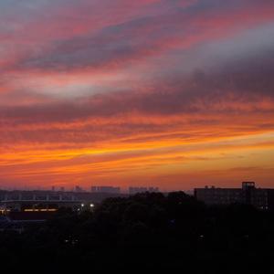 画家Prod. Wajor Key