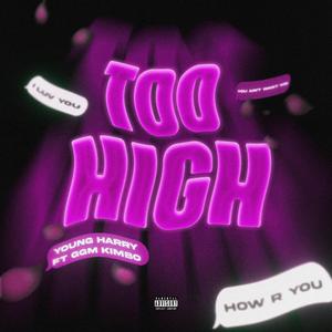Too High (feat. GGM Kimbo)