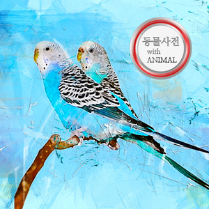 크리스마스 트리의 전구