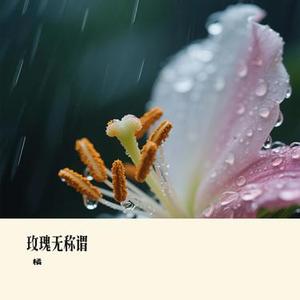 玫瑰无称谓 (Remix)
