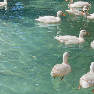 can't look u in the eye