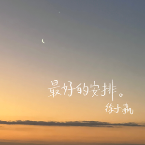 最好的安排