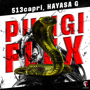 PUNGI FLEX