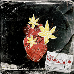 Vaniglia (feat. Paoluzi)