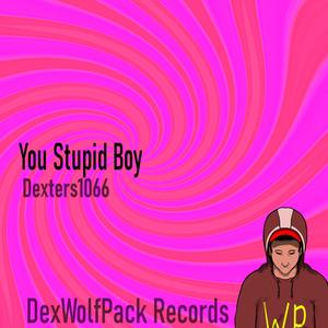You Sutpid Boy
