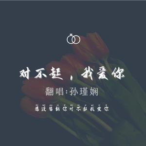 对不起，我爱你（片段）