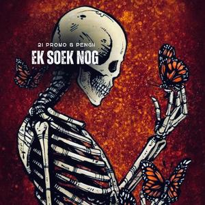 EK SOEK NOG