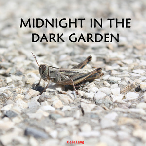 MIDNIGHT IN THE DARK GARDEN