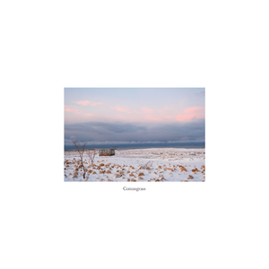 Cottongrass