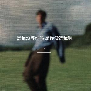 是你没选我啊（是我没等你吗）