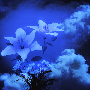 是妈妈嘛是阿妈