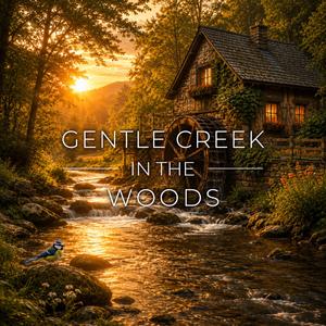 Gentle Creek in the Woods (Calm Sounds for Relaxation)