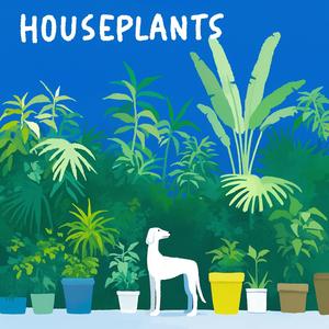 Houseplants