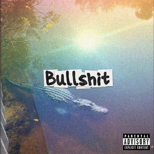 Bullshit