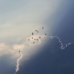 这城市风总是很大