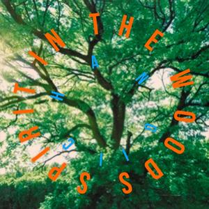 Spirit In The Woods EP