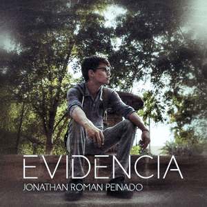 Evidencia (Instrumental)