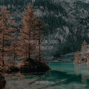 Silent Memories Linger On