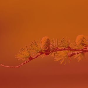 微妙的温泉心情