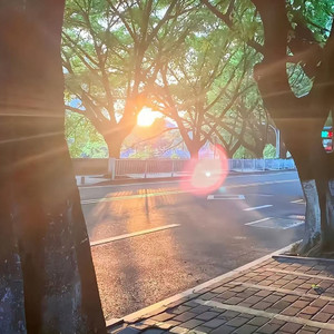 恰逢那年你明媚 灯叔