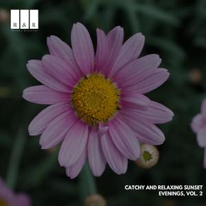 Restful Harmonical Meditaion