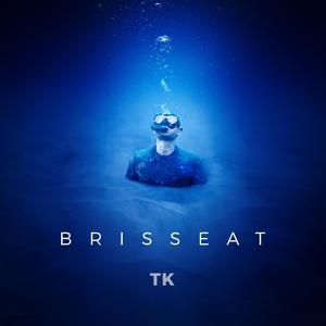 BrisSeat