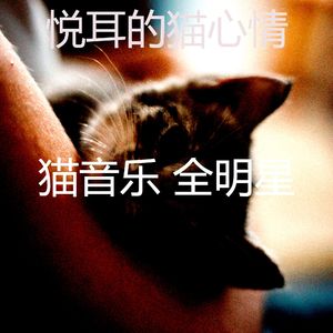 抚慰的睡猫回忆