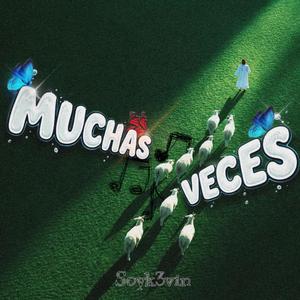 MUCHAS VECES