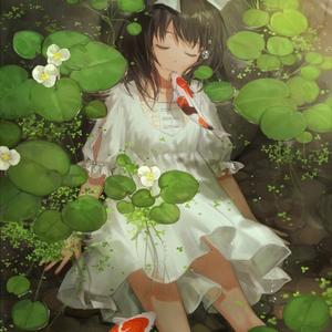 三只小熊（韩语版）