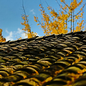 记忆里的小村庄